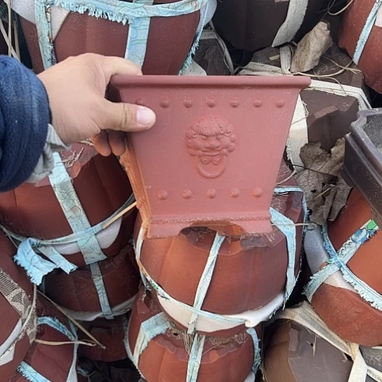 一定很有成就感哦笑起来超治愈