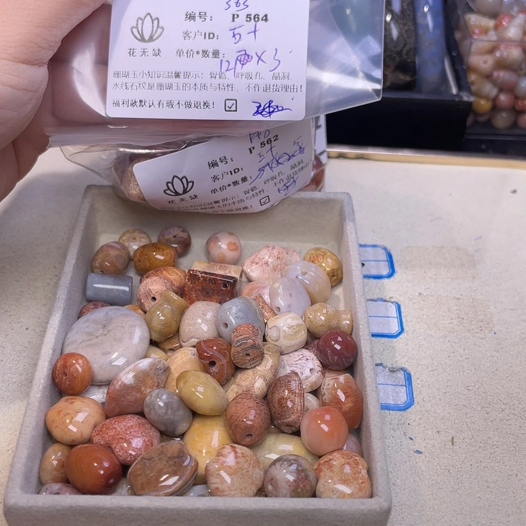 五***鱼未镶嵌手镯硅化玉