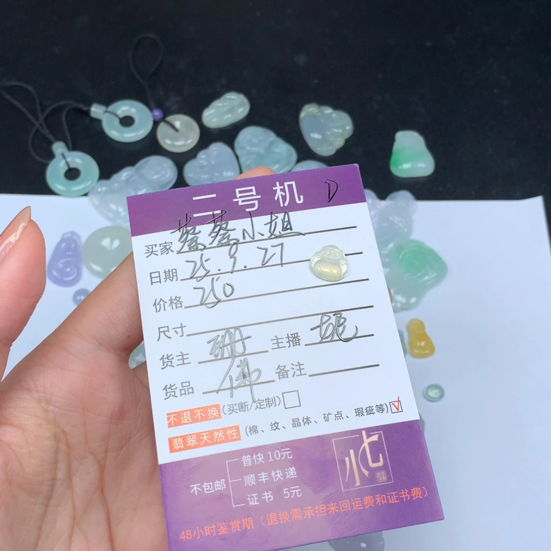 颈饰未镶嵌翡翠蔡**姐翡翠