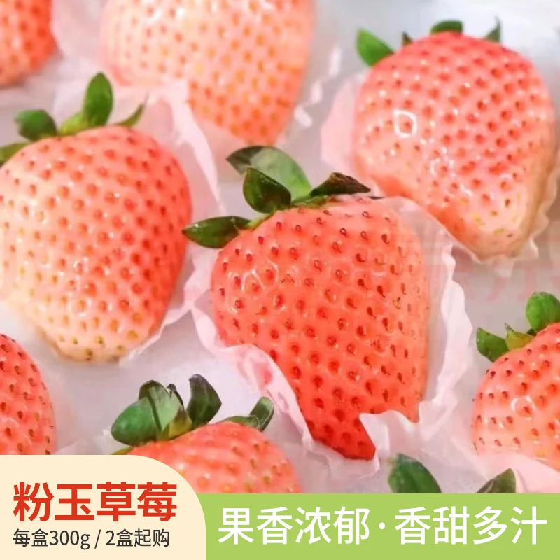 云南粉玉草莓现摘现发2盒装  顺丰空运