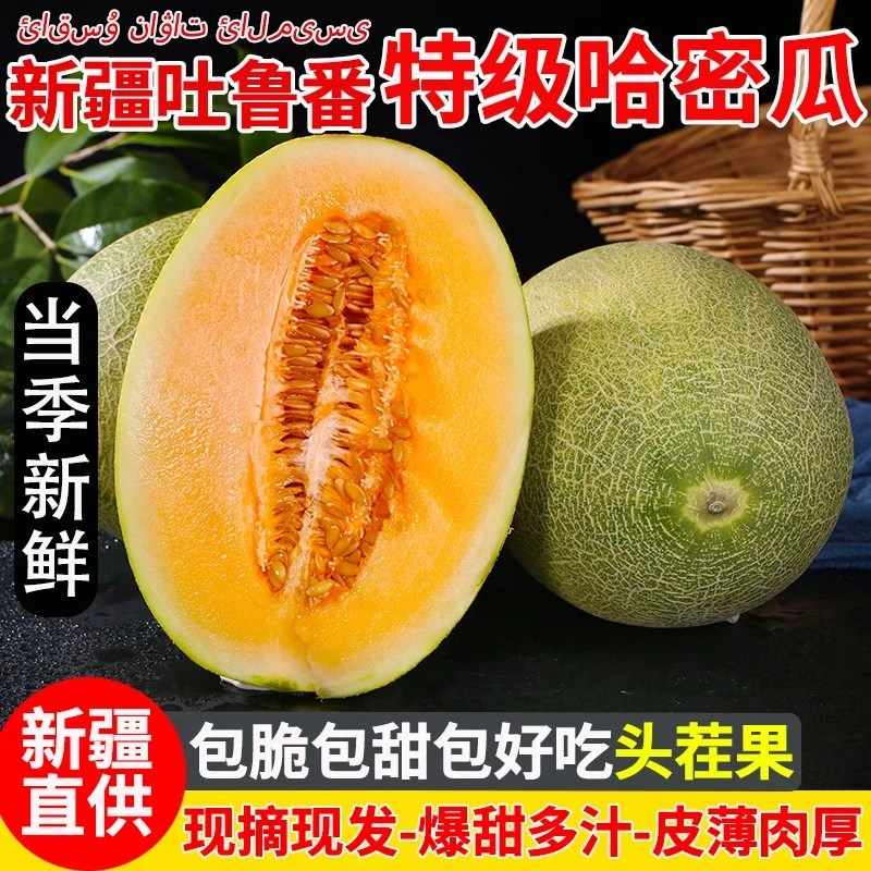 新疆吐鲁番火焰山正宗产地哈密瓜西州蜜25清脆甘甜
