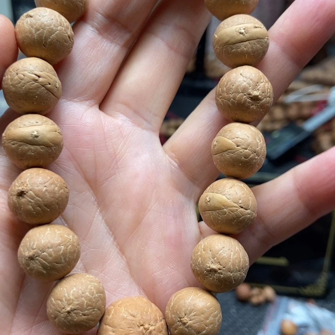 凤眼菩提吊坠15尺寸大眼