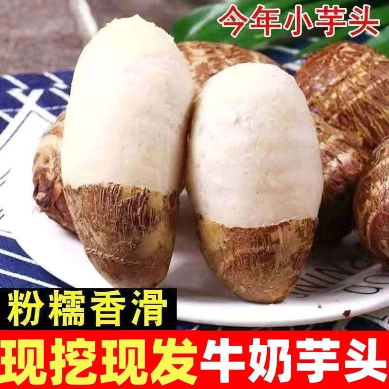 【高山牛奶芋头】贵州小毛芋头粉糯香芋香糯现挖芋仔艿芋蔬菜3斤