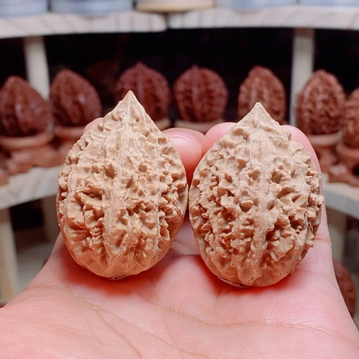 文玩核桃把件铁蚂蚁