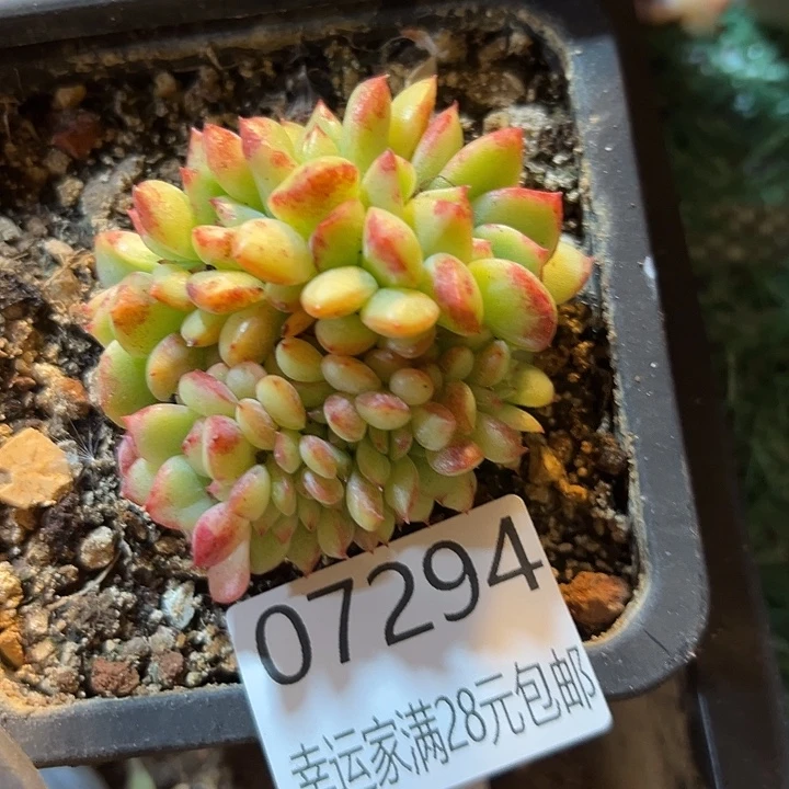 幸运的是我还没遇到过