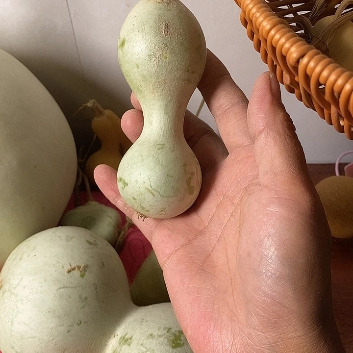 哼****青皮腰子葫芦手把件