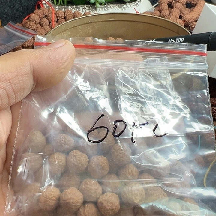 手***6手串金刚菩提龙鳞散籽60+送二不打孔不挑