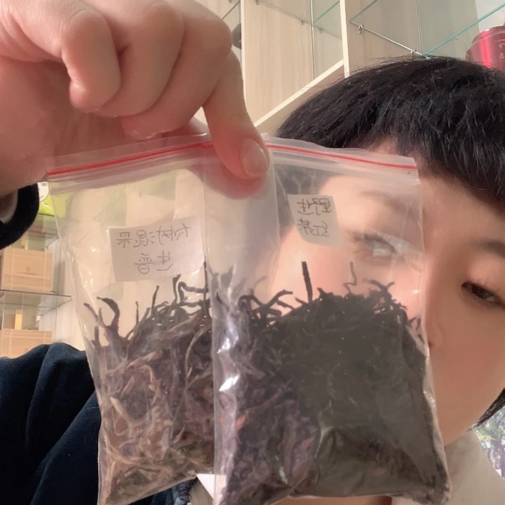 国画云南野生红茶 大树混采生普