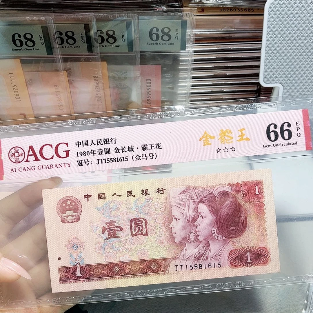 15581615。。。。金马号