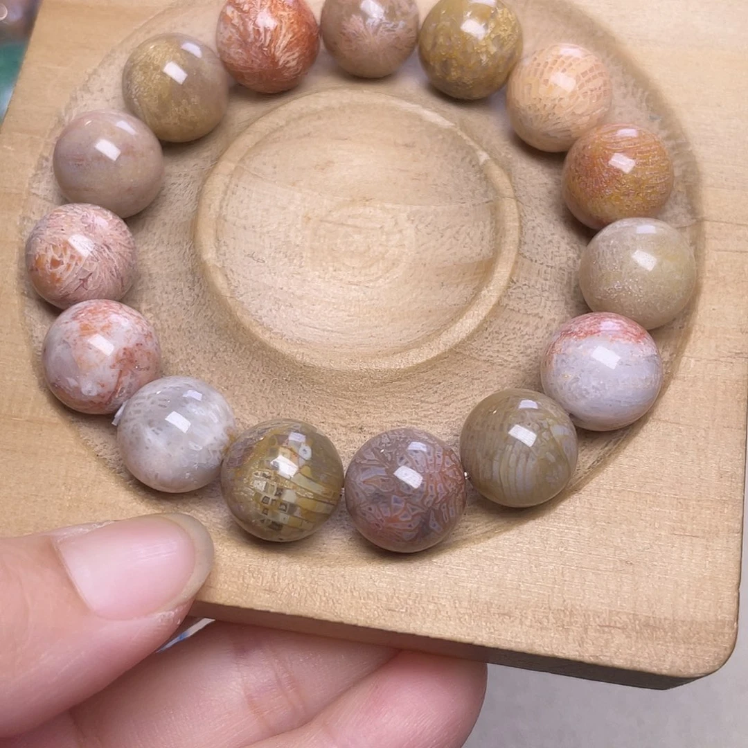 未镶嵌手镯硅化玉