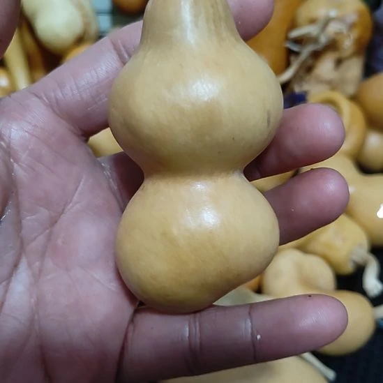 西****回来哈哈哈哈哈哈哈哈