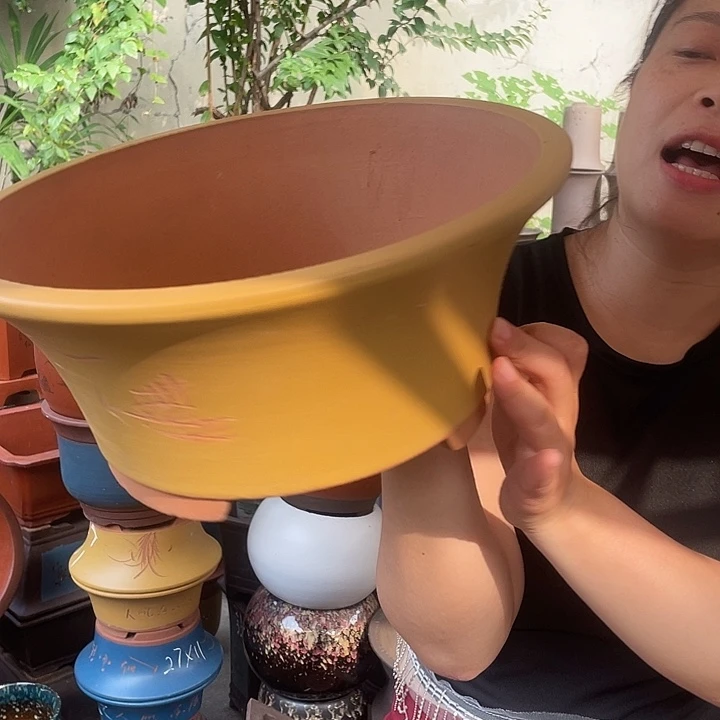33黄票口花盆紫砂花盆紫砂