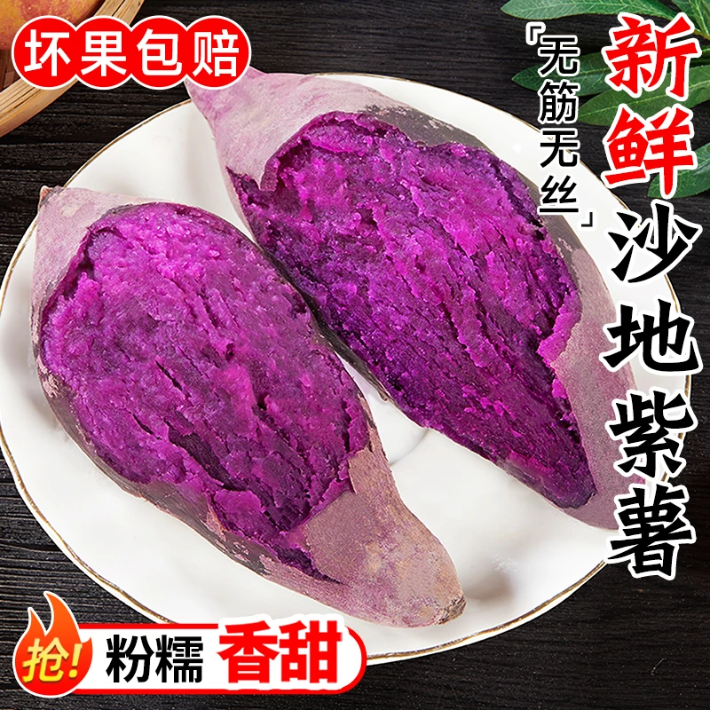 正宗沙地精品紫薯新鲜现挖软糯香甜番薯紫蜜红薯马铃薯精选地瓜