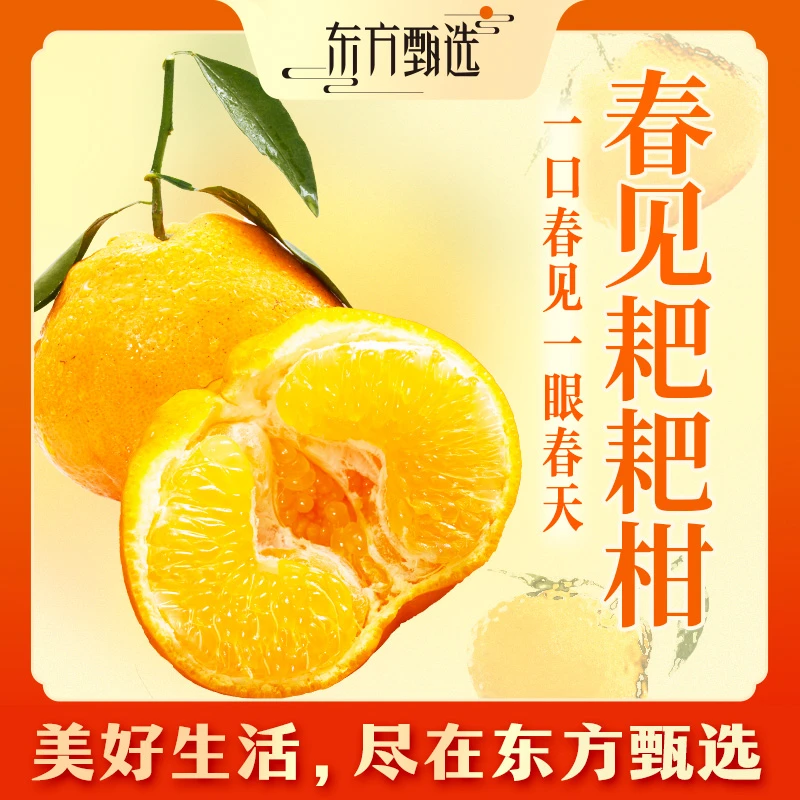 东方甄选自营春见耙耙柑自然熟酸甜皮薄水果坏果包赔顺丰/京东