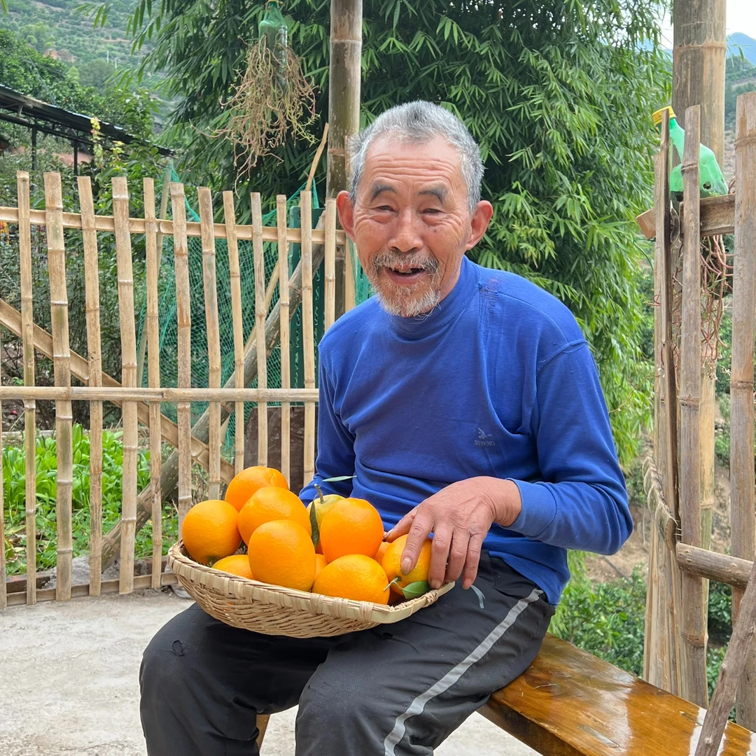正宗奉节脐橙新鲜应季水果香甜多汁现摘现发产地直发