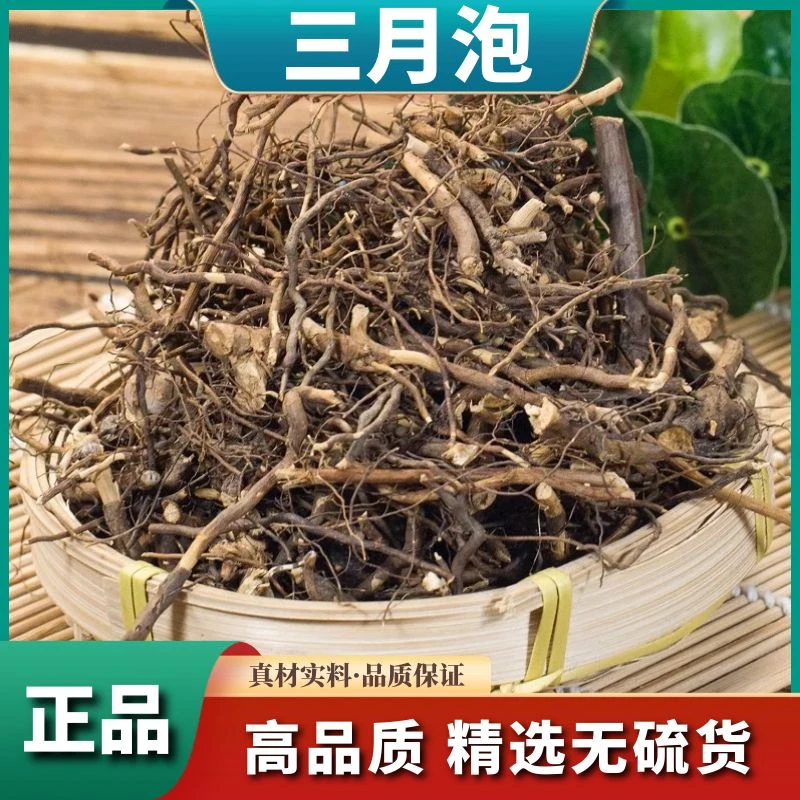 三月泡根纯根野生晒干蛇泡簕山莓根新鲜茅莓根红莓根散装叶菜包邮
