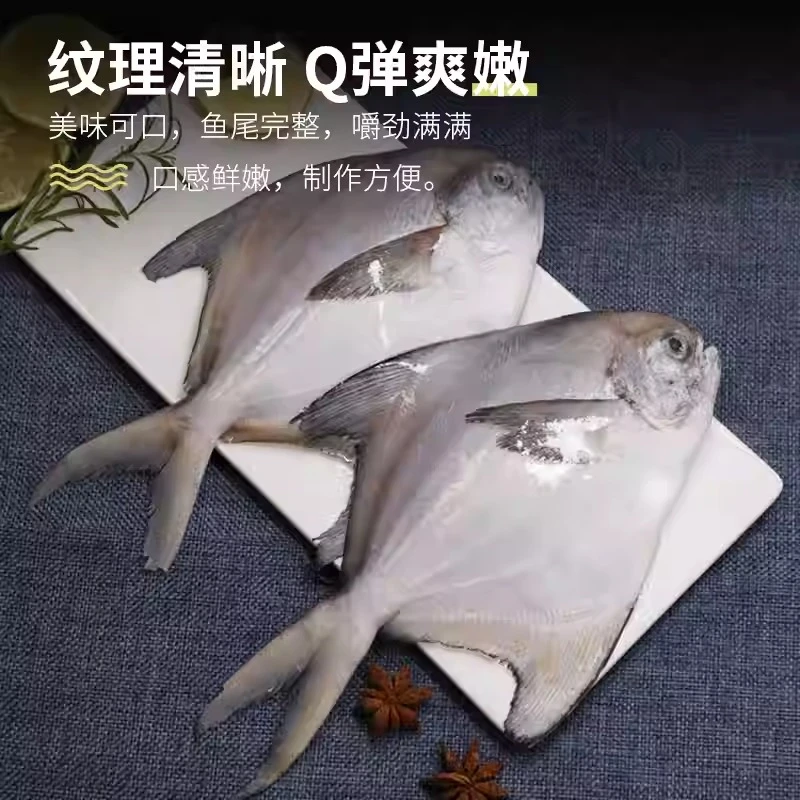 银鲳鱼特大深海新鲜鲜活海鲜冷冻深海白鲳鱼平鱼昌鱼新鲜水产