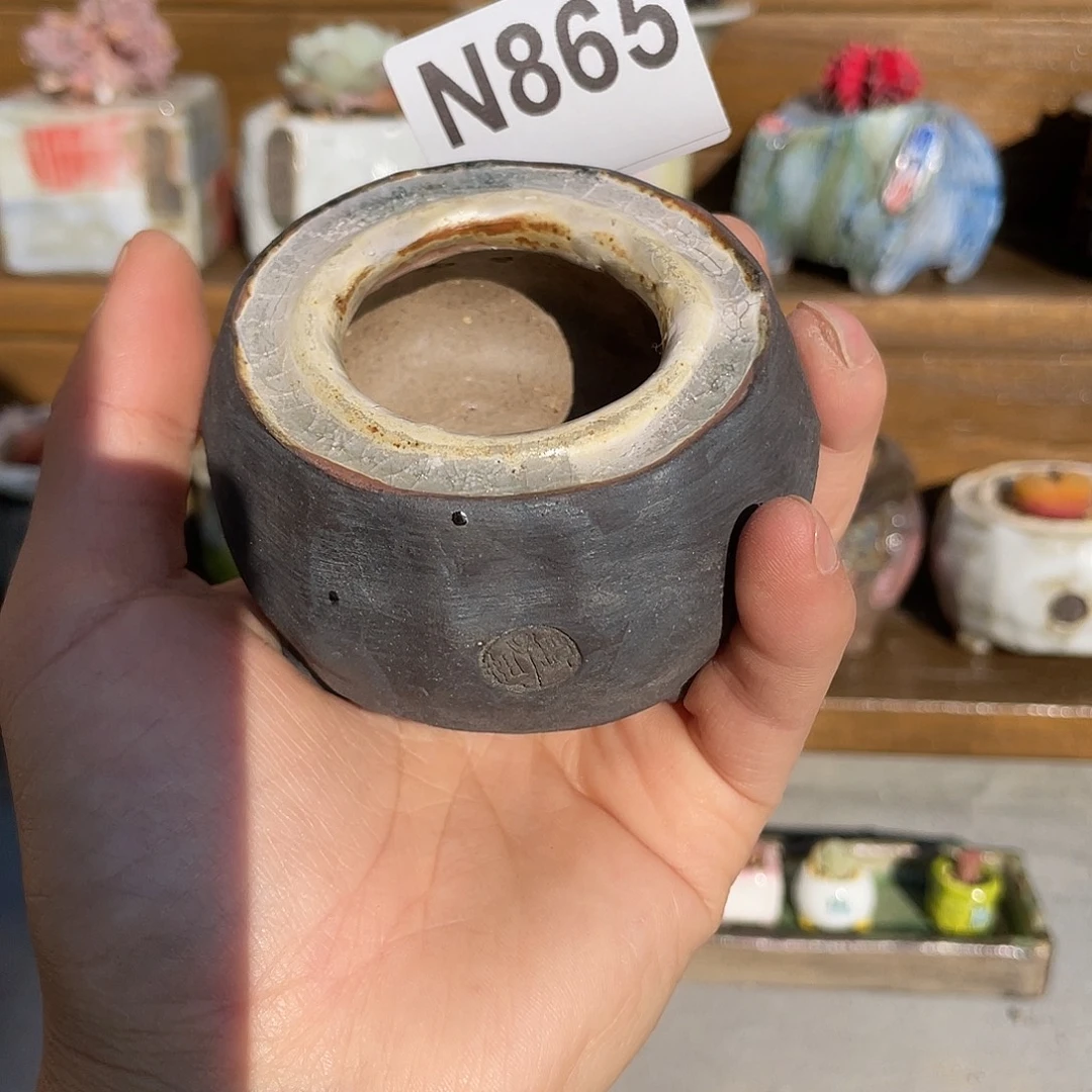 坛子姐多肉花盆内口4