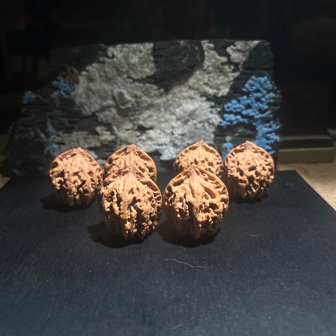 精配对暴力粗筋大刺核桃小手捻约31-35mm多样性发其一B250902-01