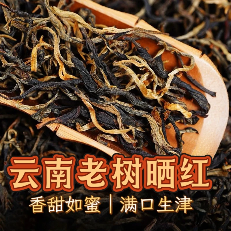 【80年老树晒红】2025年新茶 云南滇红茶 浓香蜜香型 古树红茶