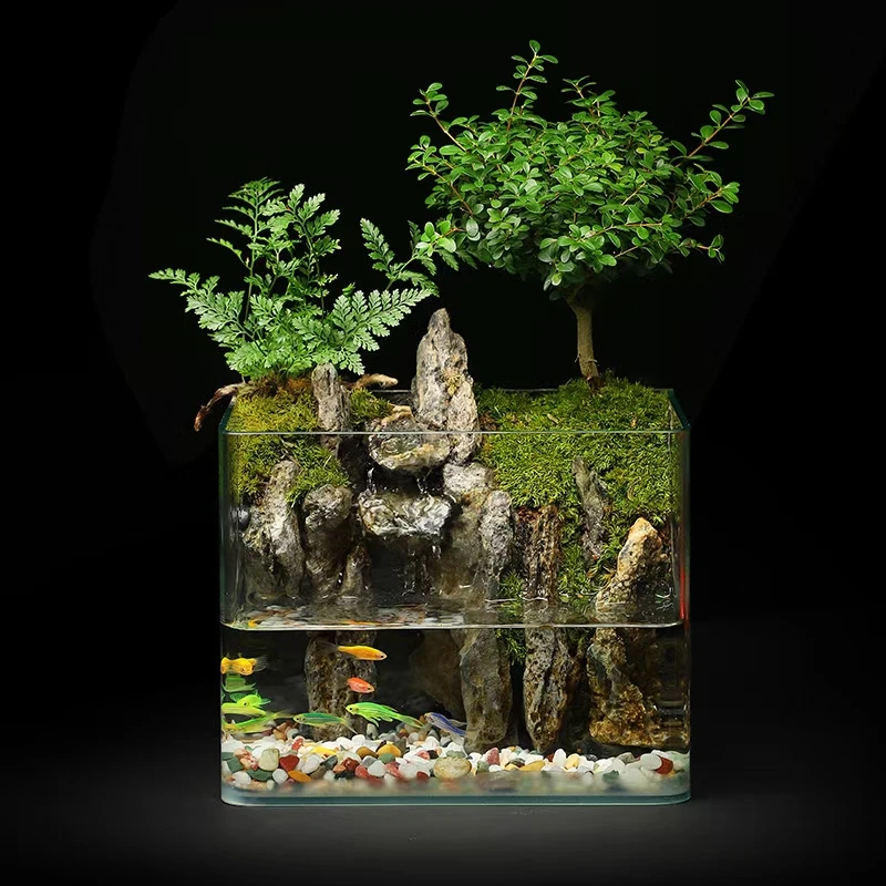 擎天-20方缸桌面景观真实绿植造景创意微景观组合生态瓶可养鱼