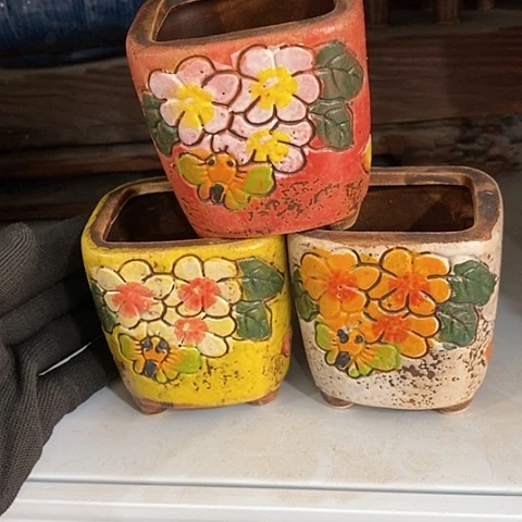 【闪购商品】红陶1