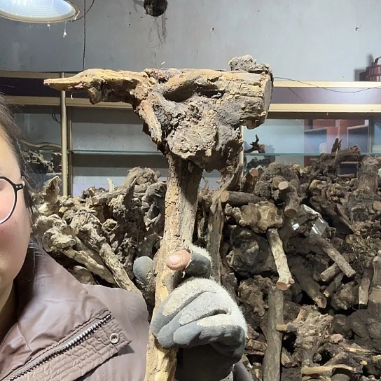 香榧木用****7火琉璃的毛料摆件