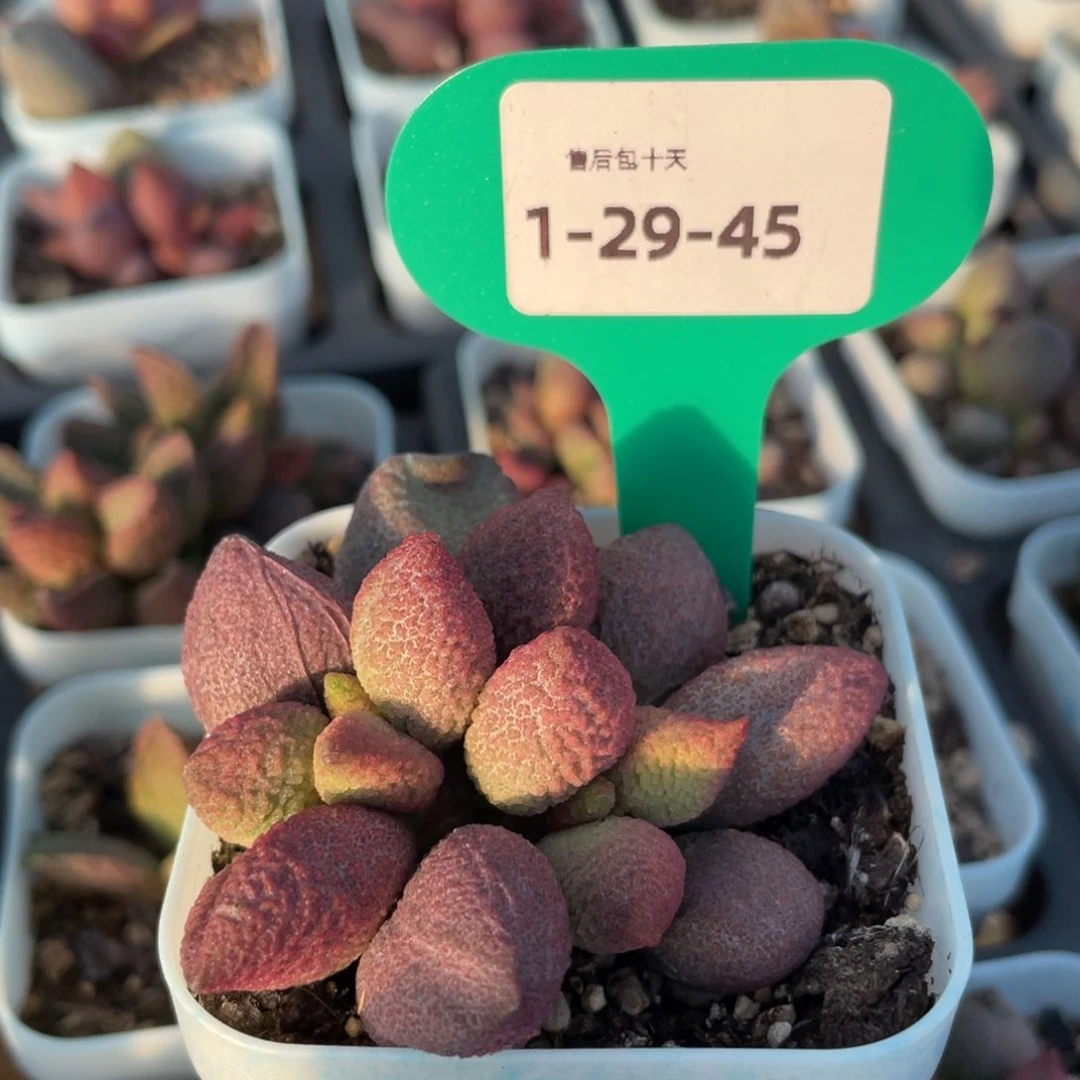 福利。   福利。