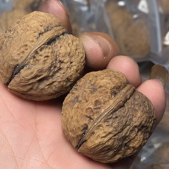 文玩核桃把件云南志成铁核桃89