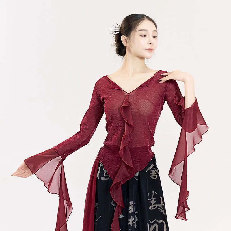 长袖T恤女古典舞身韵纱衣飘逸仙气中国舞成人专用艺考舞蹈上衣