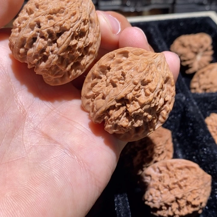 文玩核桃把件满天星