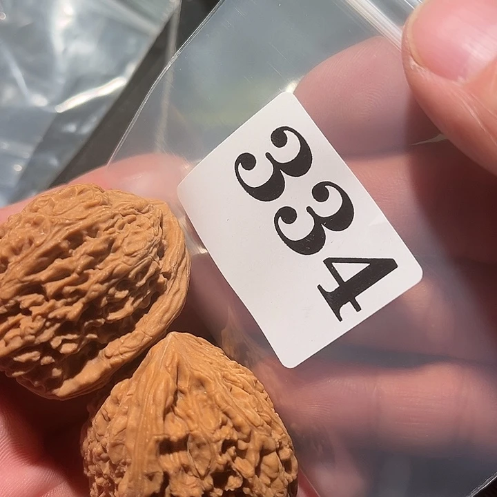 核桃1111111111111111