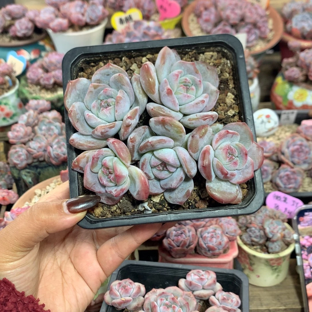 哈哈哈哈哈哈哈哈哈1