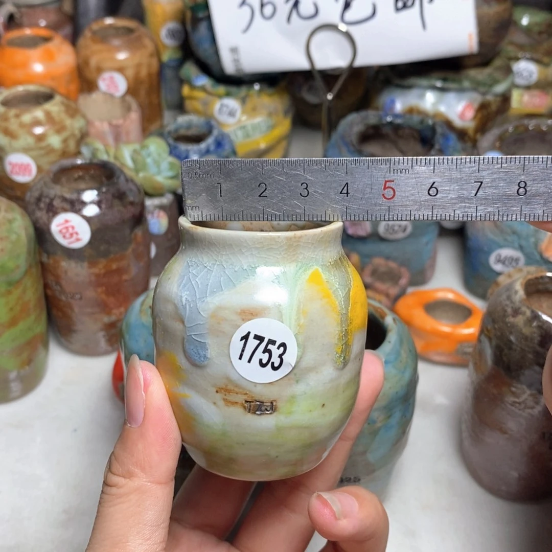 拍5送一个小礼物