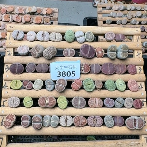 3805，清板子特价脱土发货