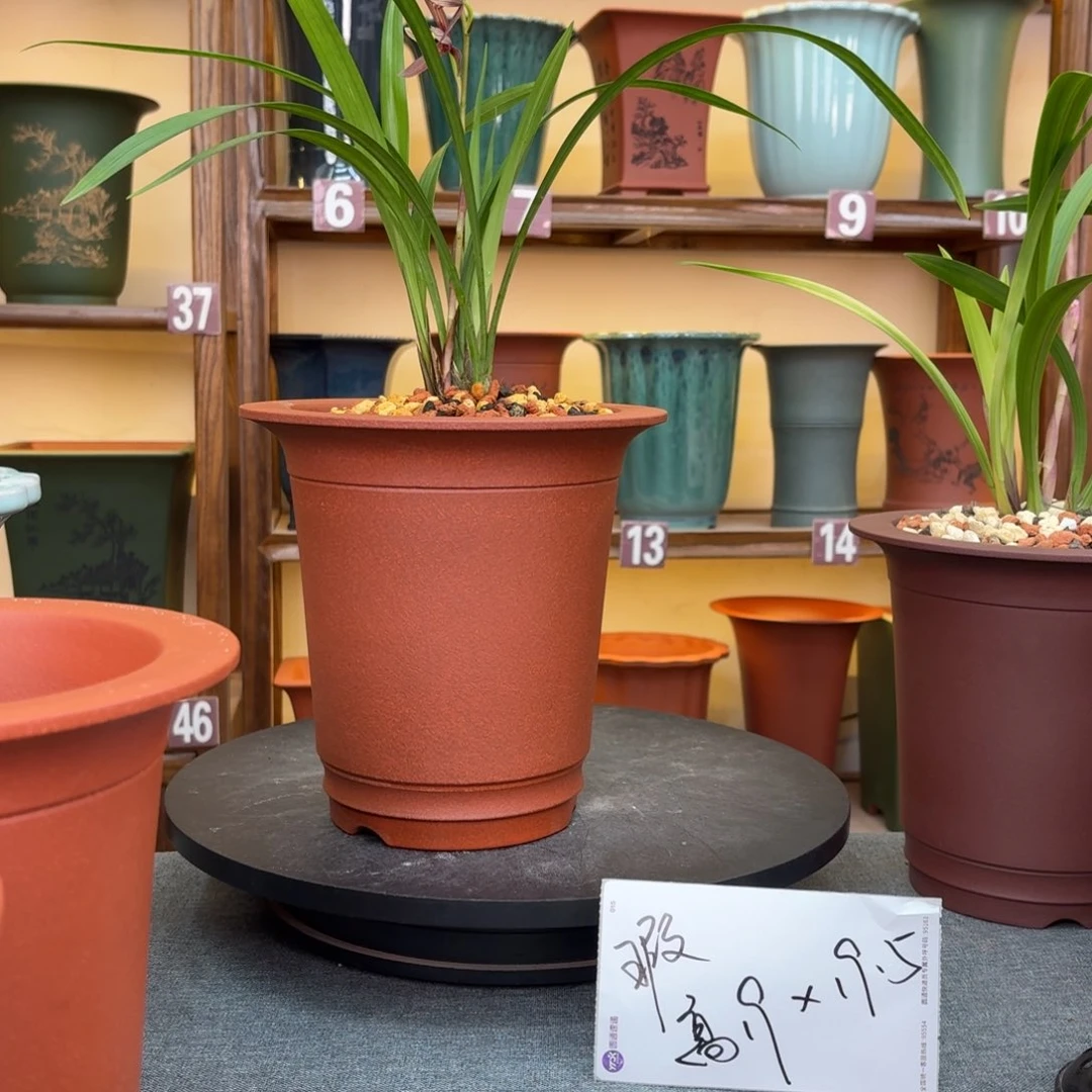 紫砂花盆微瑕兰花盆84546468484