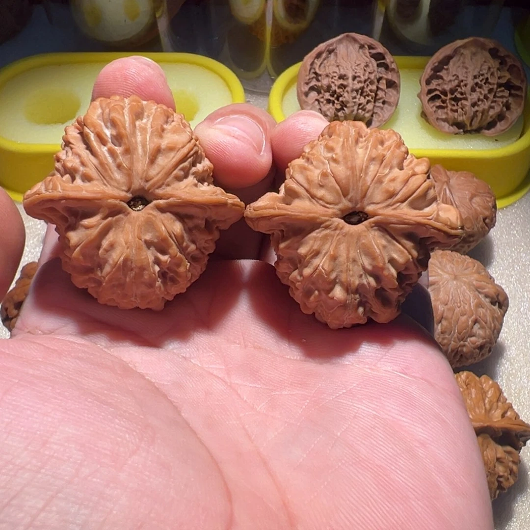 把件文玩核桃F****俊41血麒麟