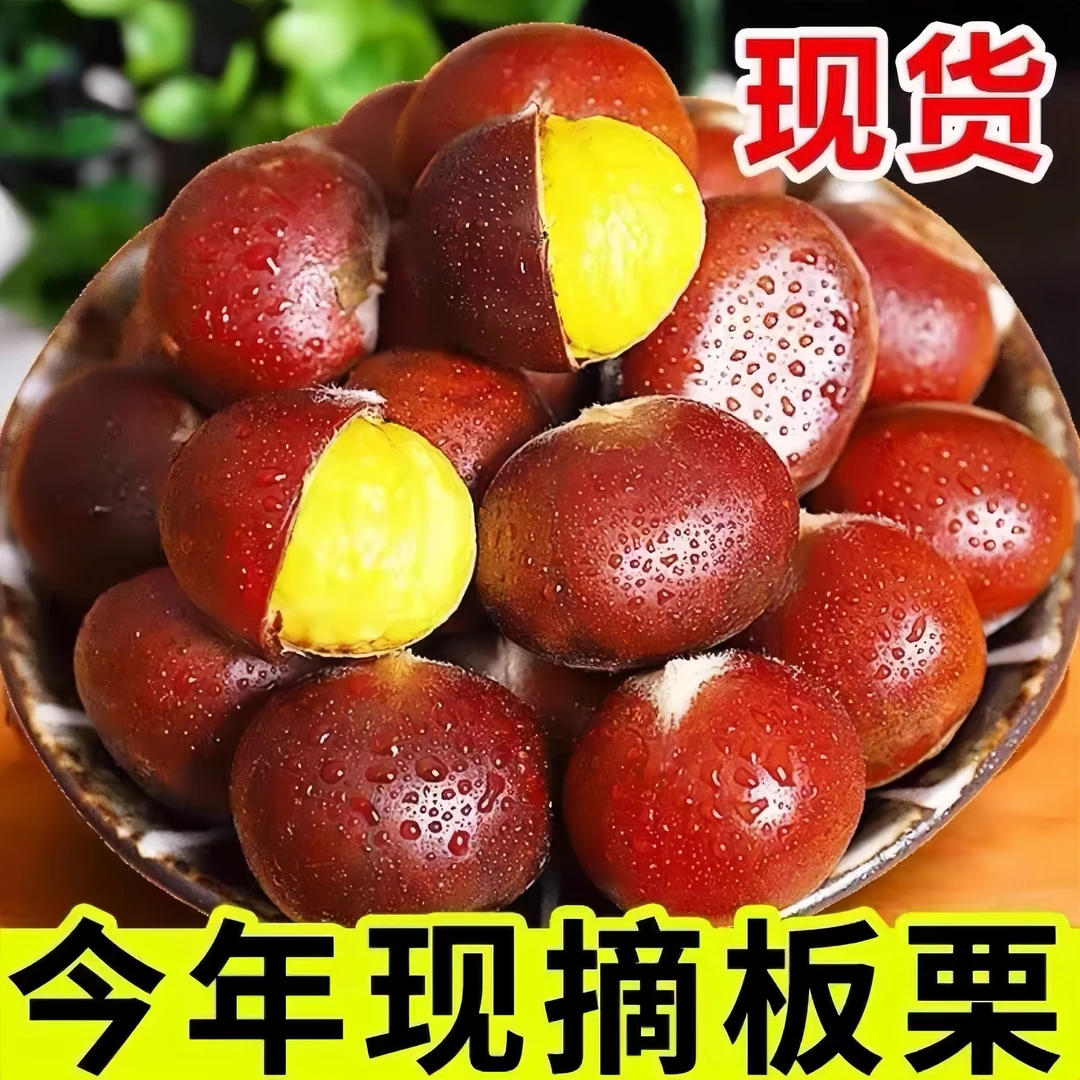 【买3斤送2斤】新鲜当季香甜q可口深山优质大板栗产地直发难剥皮