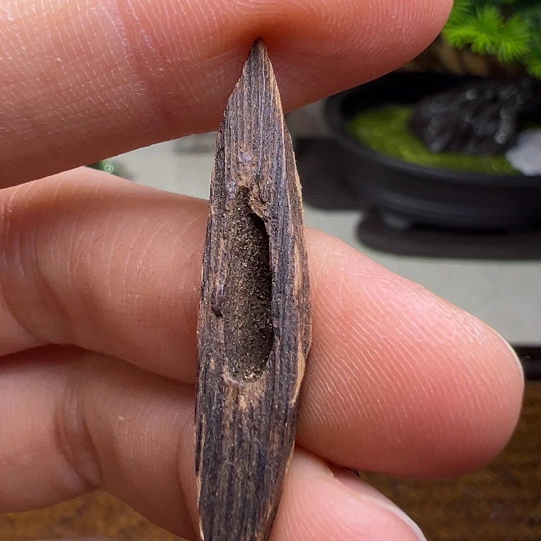 沉香沉香碎屑海南大山沉水70年代糖结老料0.5克