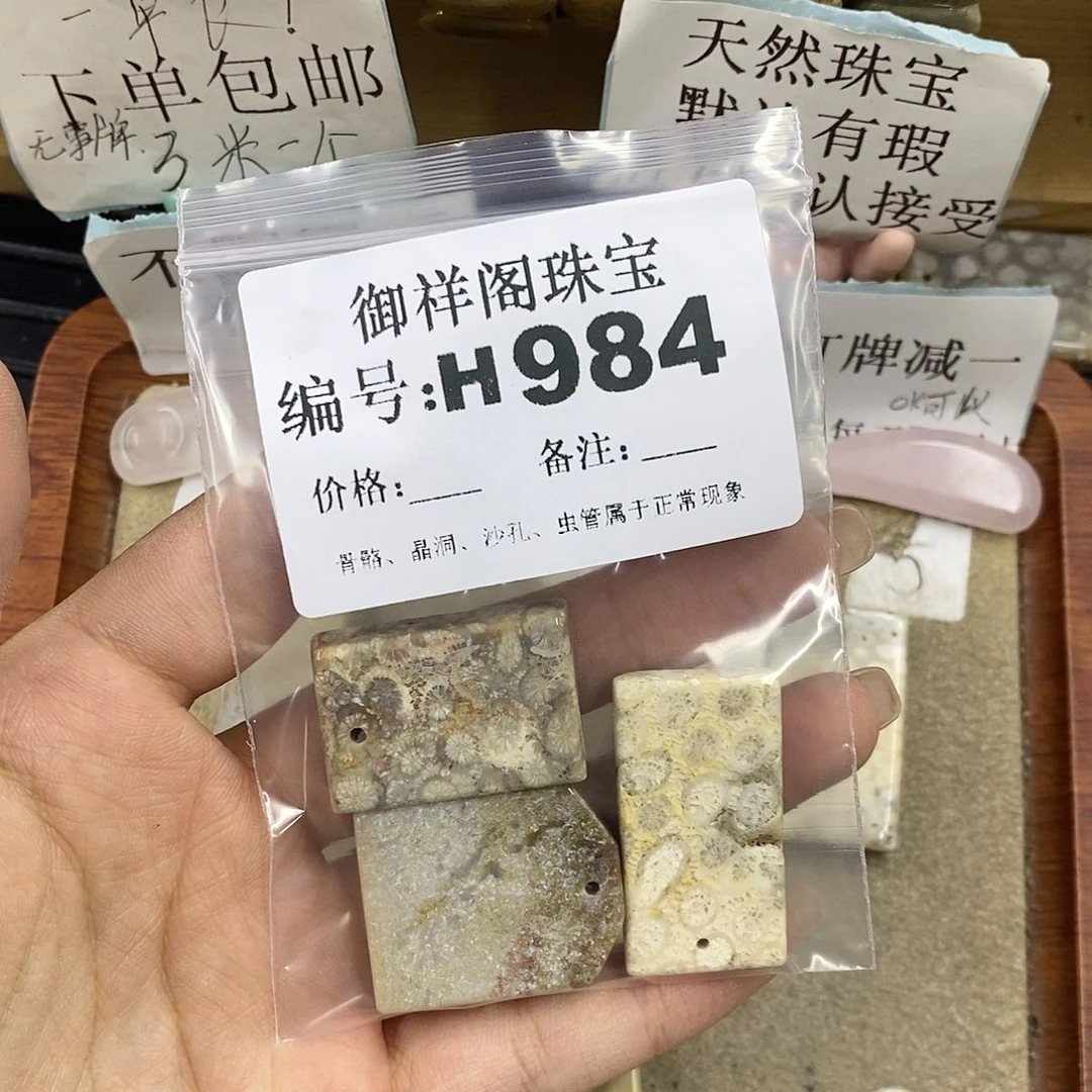 硅化珊瑚（珊瑚玉）未镶嵌颈饰s**0