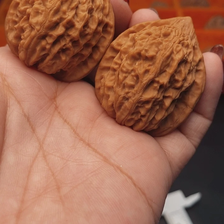核桃金牛37尺核桃