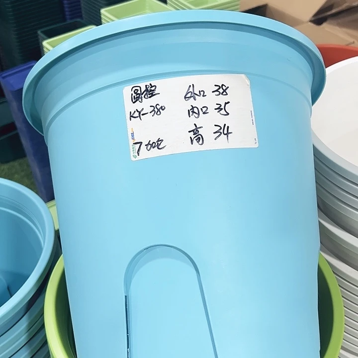 圆控口38高34果绿3只无托
