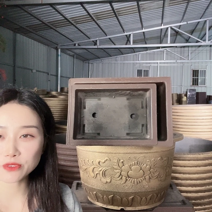 盆景50盆2个盆景60盆2个有孔