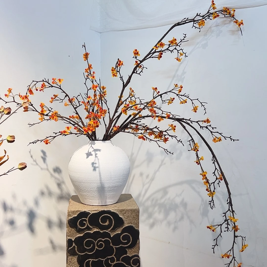 抖音直播南蛇藤一套