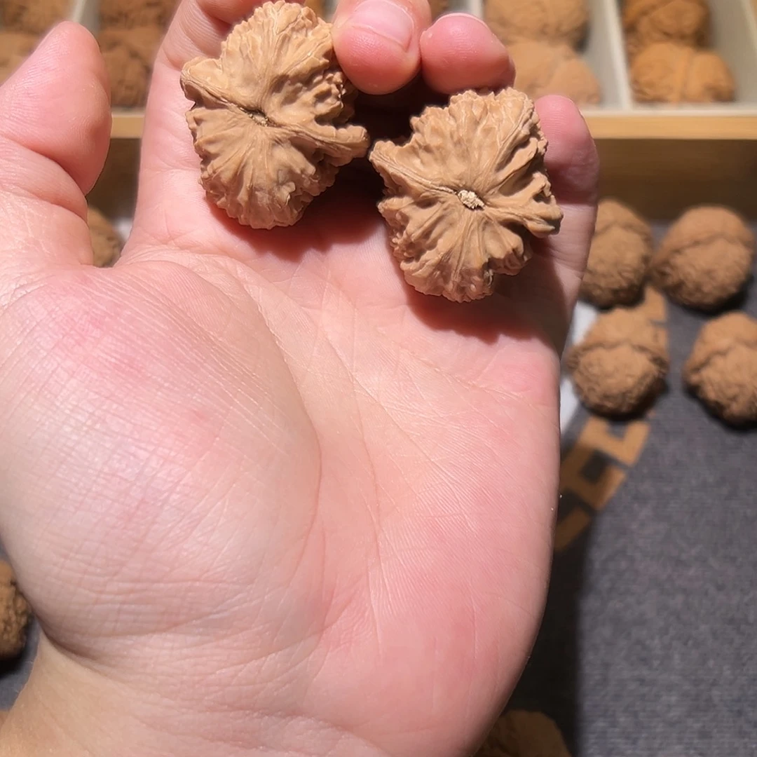 文玩核桃吊坠文玩核桃品种白狮子