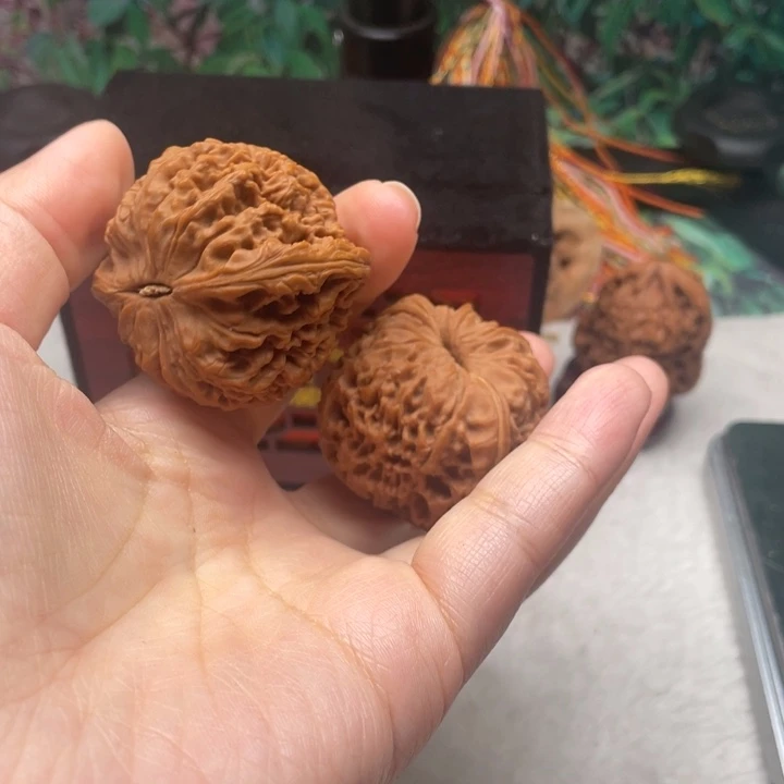 1号球将42-37有引黄