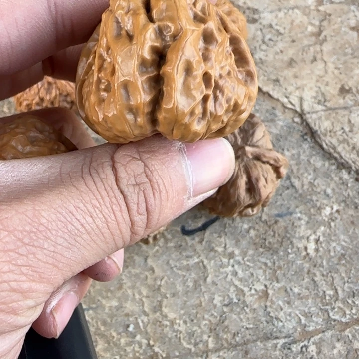 ，***，文玩核桃把件蛤蟆头