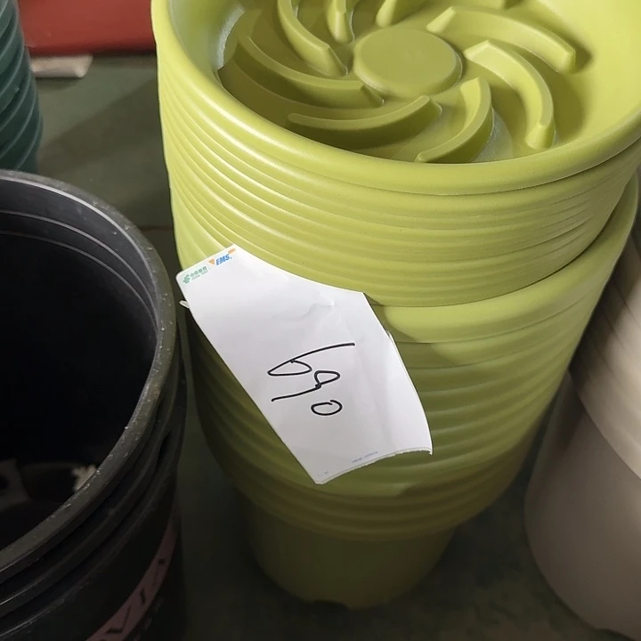 编号690口径25果绿带托5个