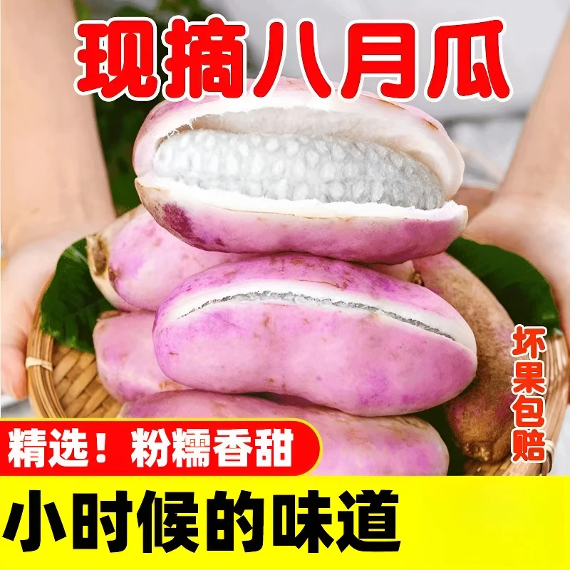 新鲜八月瓜水果八月炸当季生鲜非野香蕉8月果现摘九月黄预知子