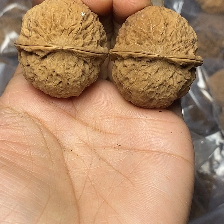 文玩核桃把件云南铁核桃87